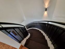 Dunearn Road (D11), Condominium #484959031